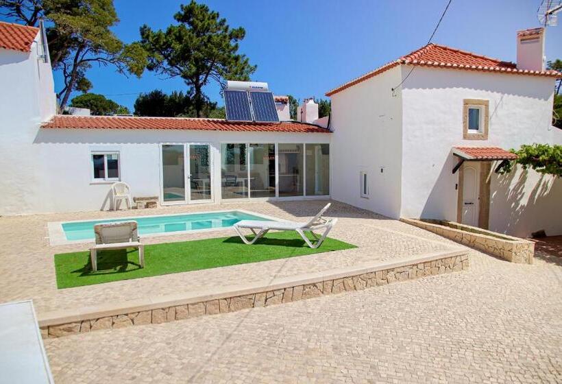 Countryside House In Ericeira 5 Min From Beach, With Salt Water Pool & Bbq