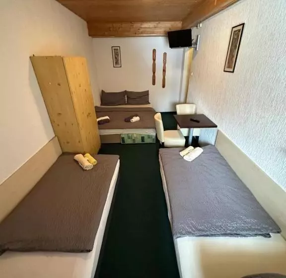 Majatalo Penzion Erika