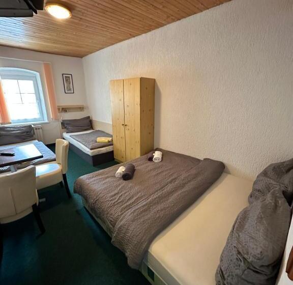 פנסיון Penzion Erika