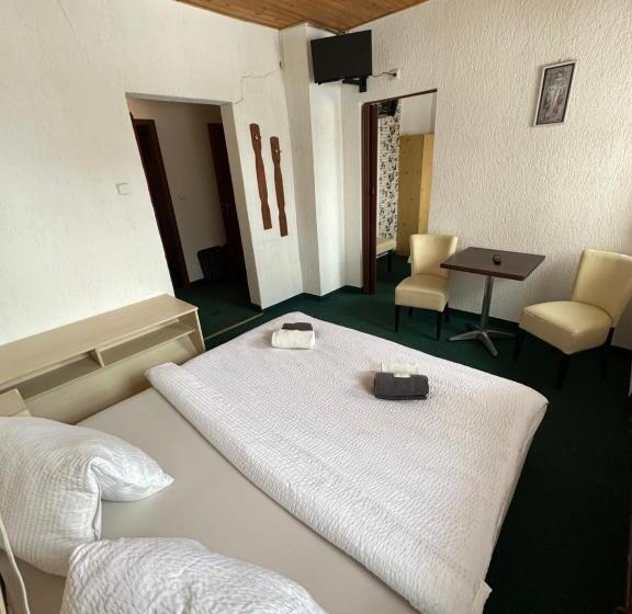 פנסיון Penzion Erika