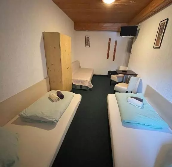 Majatalo Penzion Erika