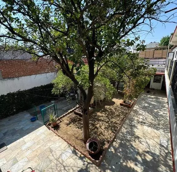 پانسیون The Florenthina S House