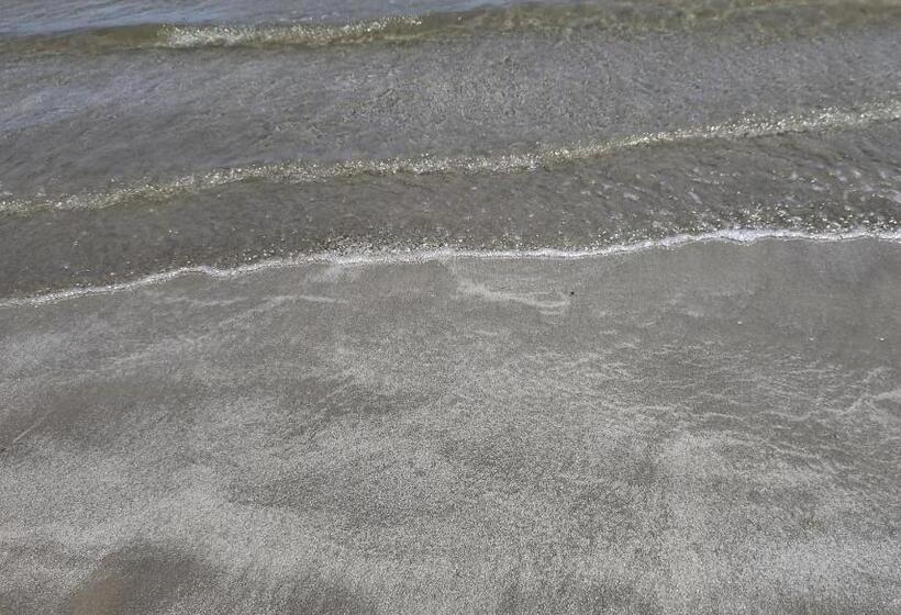 Riviera De São Lourenço   Flat Amarilis