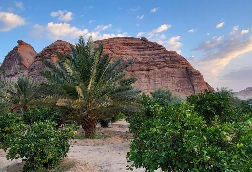 الجوهرة Diamond Plus