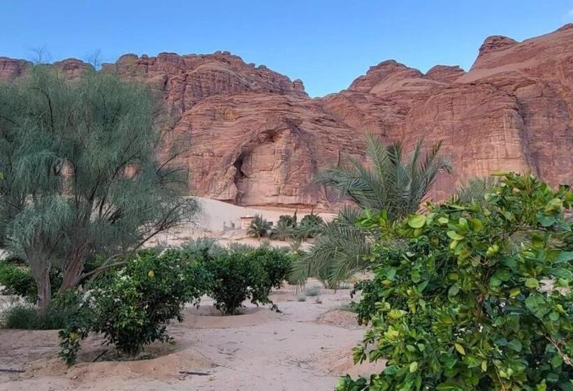 الجوهرة Diamond Plus