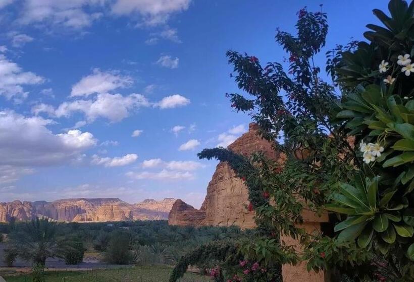 الجوهرة Diamond Plus