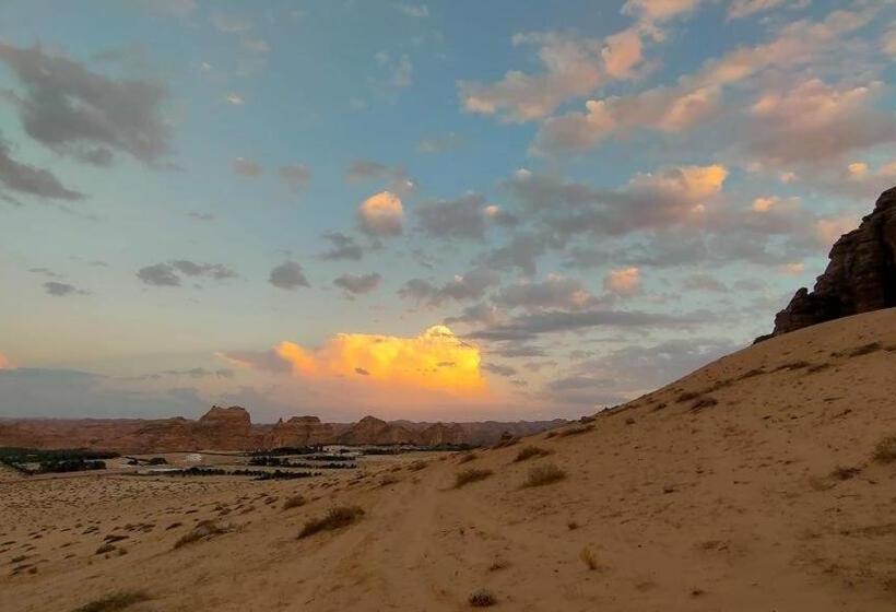 الجوهرة Diamond Plus