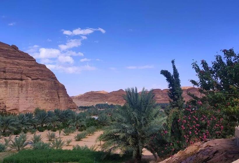 الجوهرة Diamond Plus