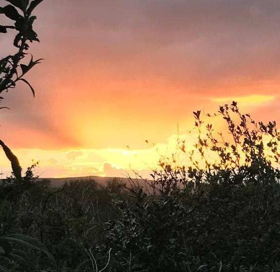 ベッドアンドブレックファースト Babas Rooms