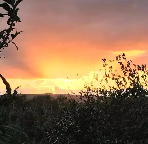 Aamiaismajoitus (B&B) Babas Rooms