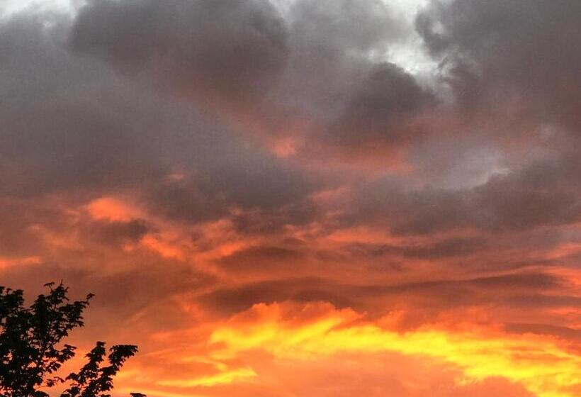 ベッドアンドブレックファースト Babas Rooms