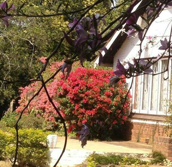 Emfuleni Bed And Breakfast