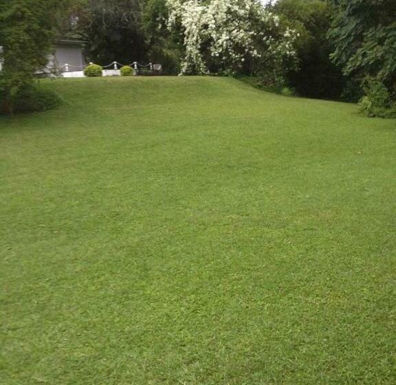 Emfuleni Bed And Breakfast