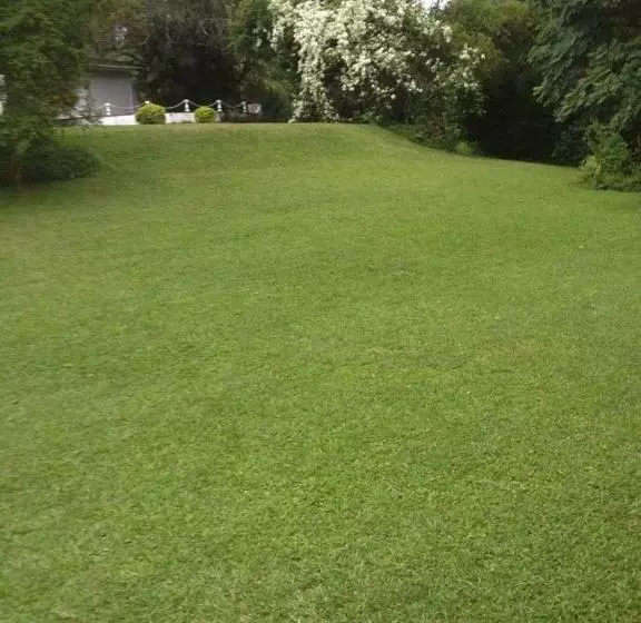 Emfuleni Bed And Breakfast