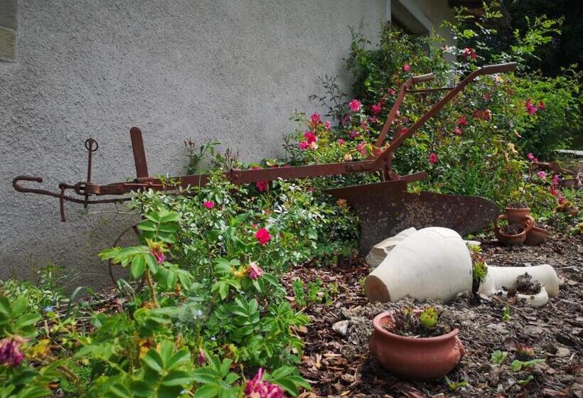 호텔 Agriturismo Fattoria Didattica Il Macereto