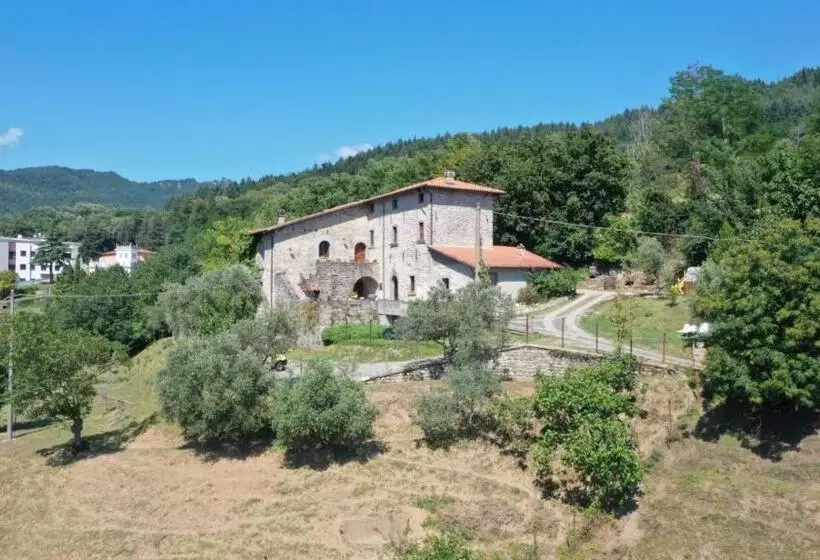 ホテル Agriturismo Fattoria Didattica Il Macereto