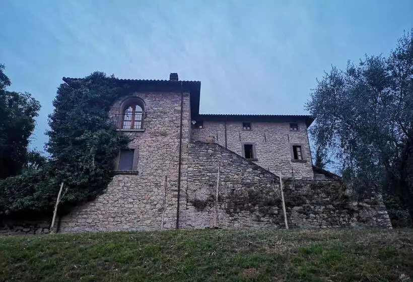 ホテル Agriturismo Fattoria Didattica Il Macereto