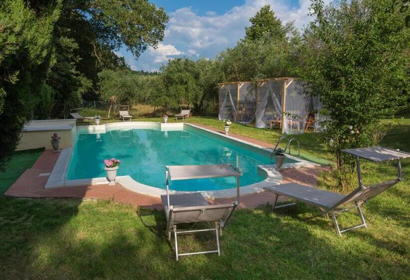 La Ginestra Di Valerio Chianti Villa With Large Pool & Wifi