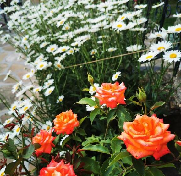 ペンション къща за гости виктория