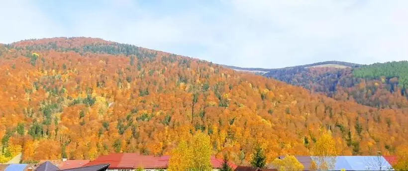 Majatalo Casa Tibi   Sinaia