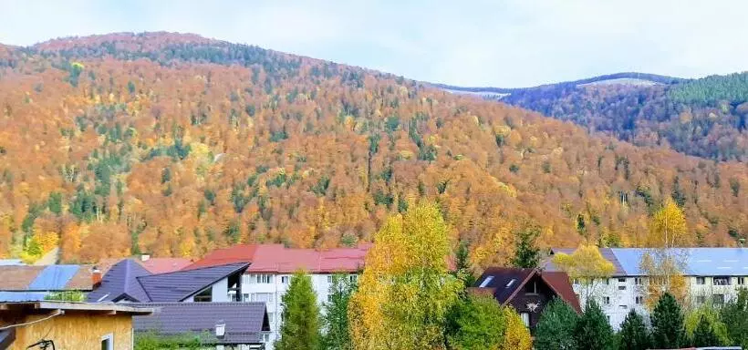 Majatalo Casa Tibi   Sinaia