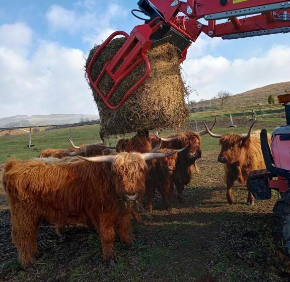 ペンション Turistika Ubytovňa Sivá Brada