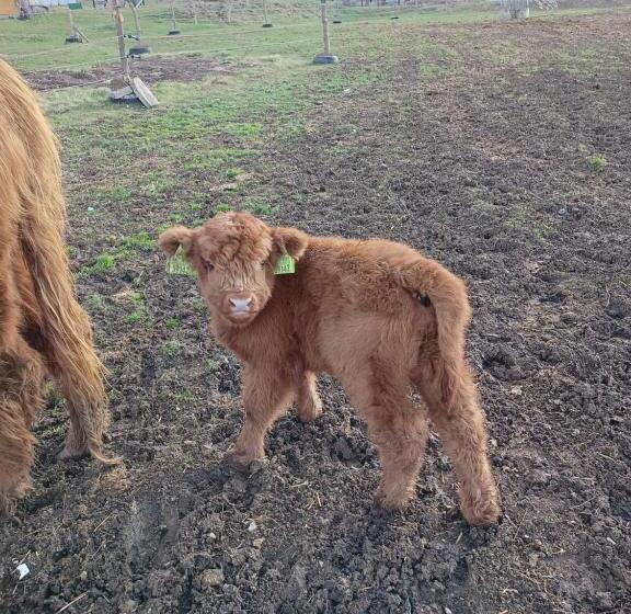 ペンション Turistika Ubytovňa Sivá Brada