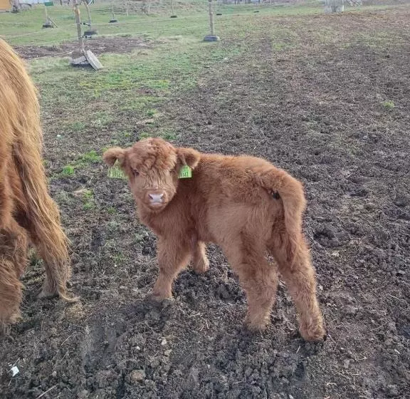 Majatalo Turistika Ubytovňa Sivá Brada