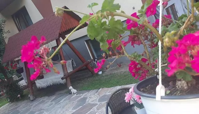 Pensiunea Casa Transalpina