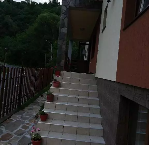 Pensiunea Casa Transalpina