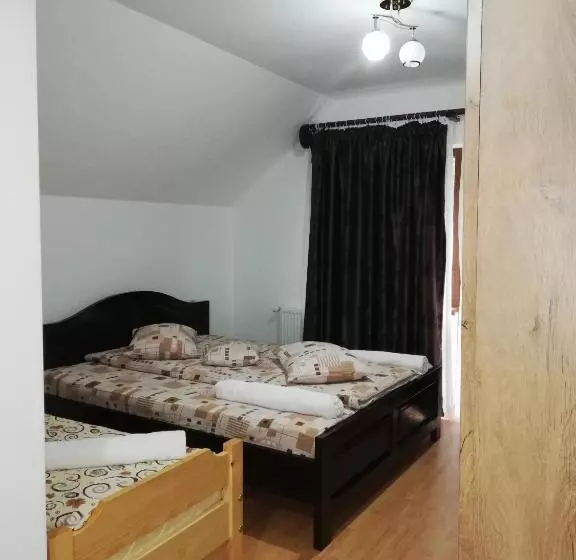 Pensiunea Casa Transalpina