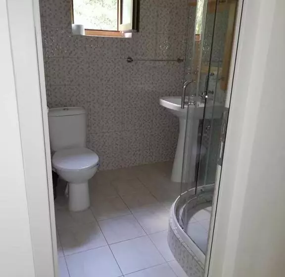 Pensiunea Casa Transalpina