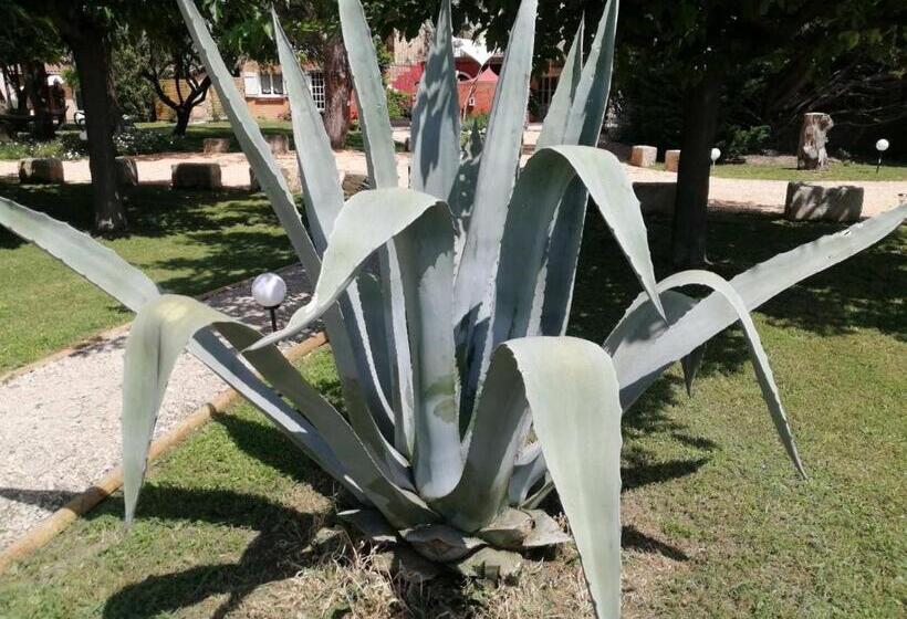 צימר Mas Maurane Roulotte Avec Spa Privé Aux Portes D Arles