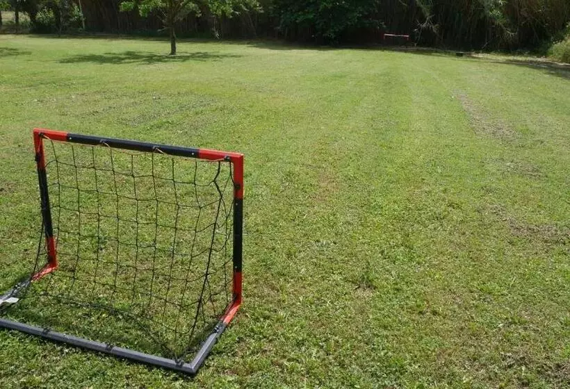 Aamiaismajoitus (B&B) Mas Maurane Roulotte Avec Spa Privé Aux Portes D Arles