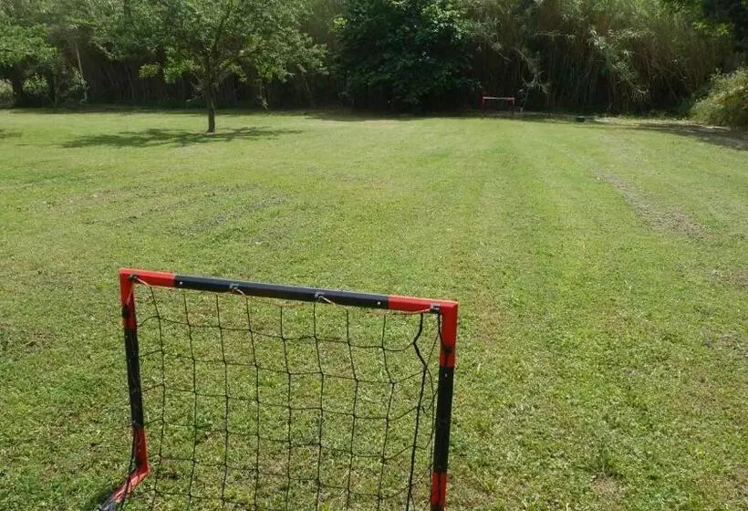 Aamiaismajoitus (B&B) Mas Maurane Roulotte Avec Spa Privé Aux Portes D Arles