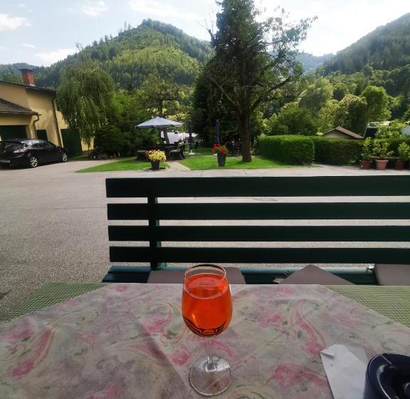 酒店 Gasthof Zur Sonne