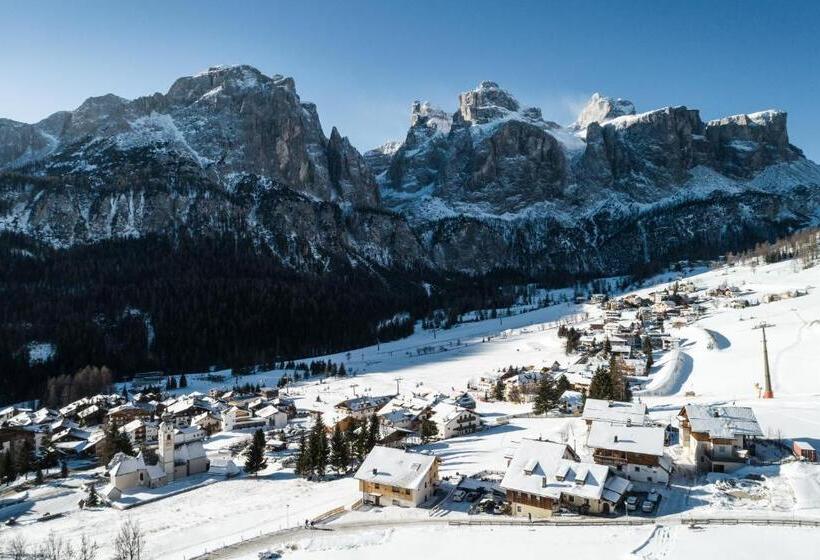 פנסיון Ciasa Altonn