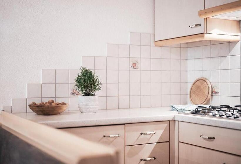 פנסיון Ciasa Altonn