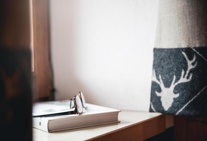 פנסיון Ciasa Altonn