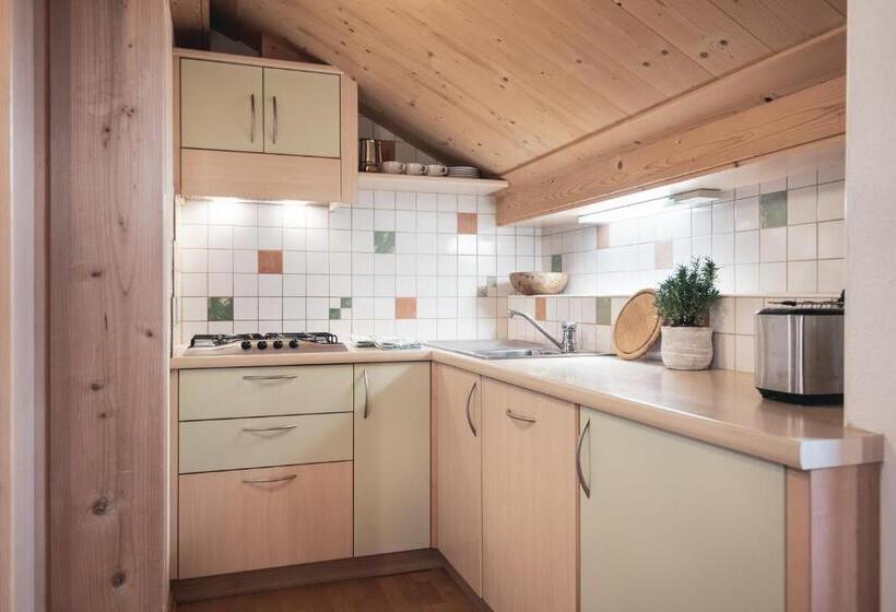 פנסיון Ciasa Altonn