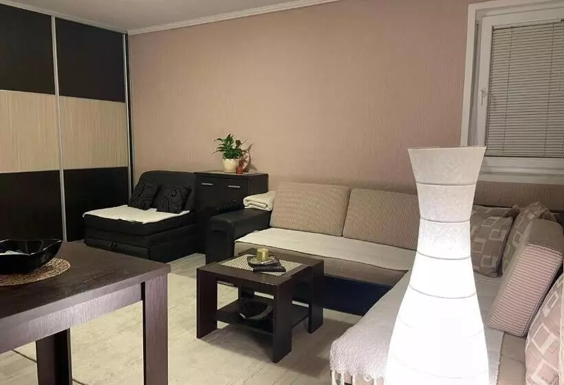 Studio Apartment For Rent In Budva