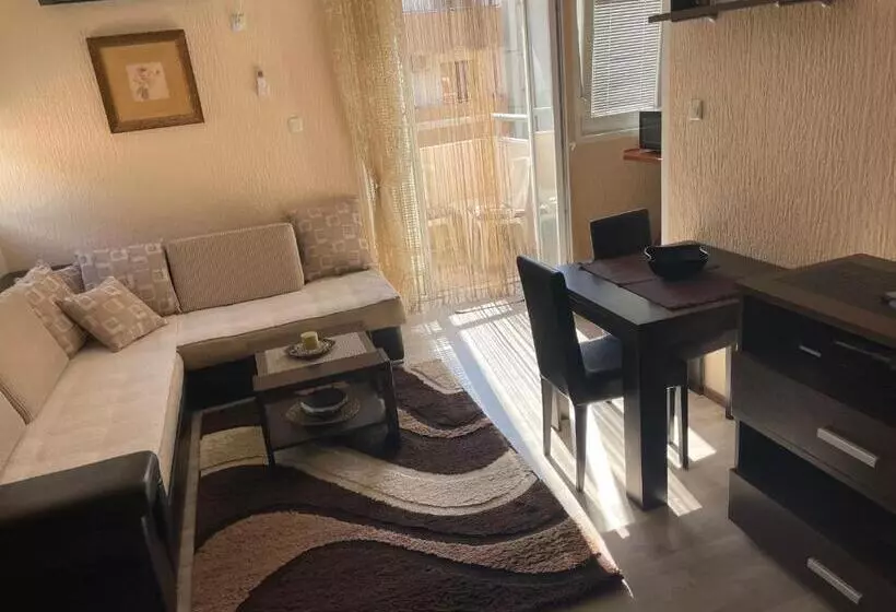Studio Apartment For Rent In Budva
