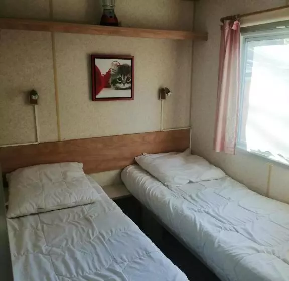 Bungalow Charmant A Saint Pierre D Oleron Avec Jardin Cloture