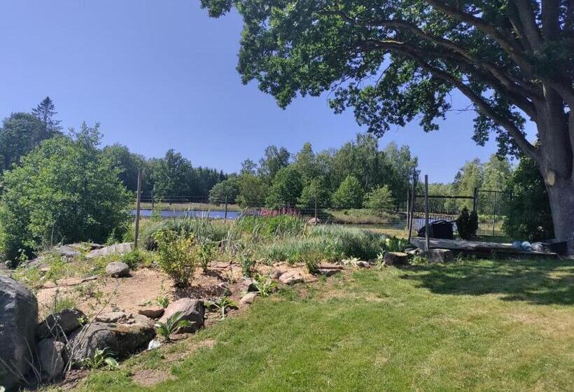 Damwildfarm In Rollerbü Südschweden