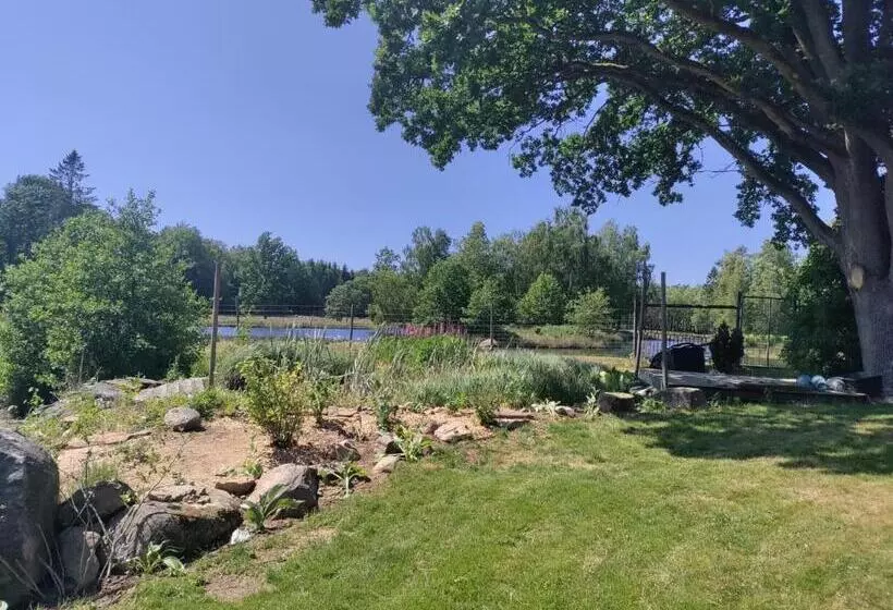 Damwildfarm In Rollerbü Südschweden