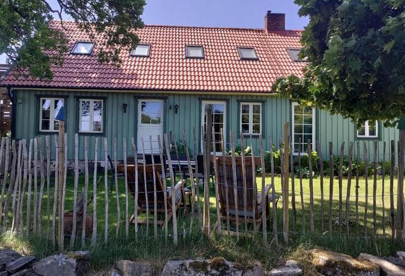 Damwildfarm In Rollerbü Südschweden