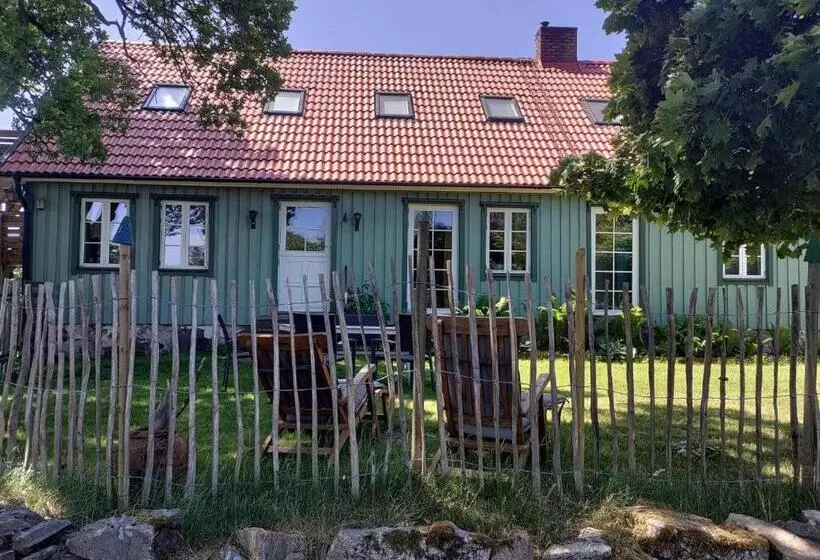 Damwildfarm In Rollerbü Südschweden