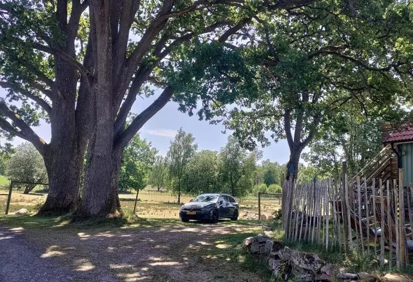 Damwildfarm In Rollerbü Südschweden