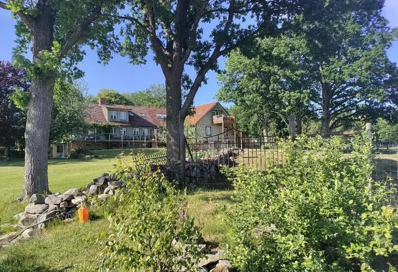 Damwildfarm In Rollerbü Südschweden