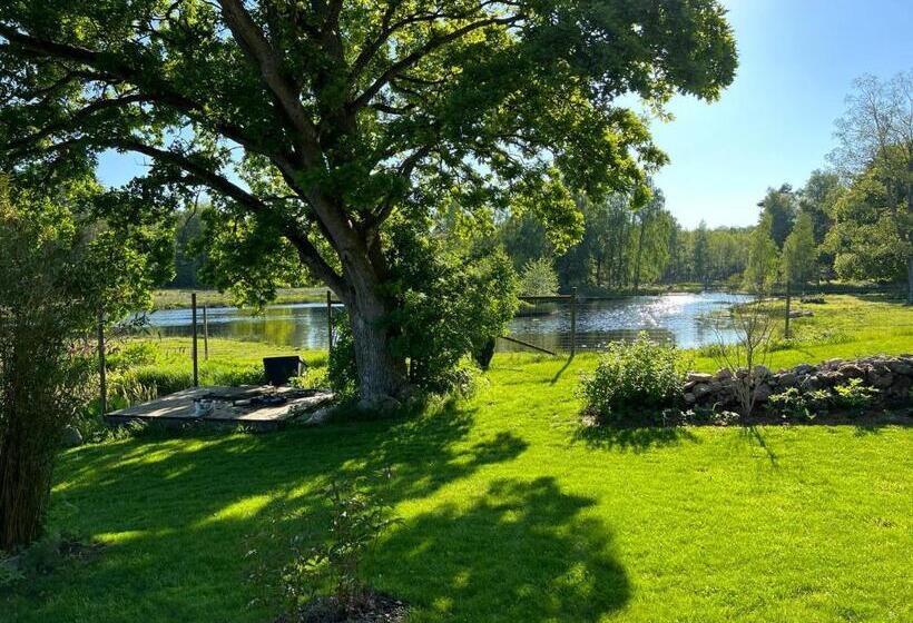 Damwildfarm In Rollerbü Südschweden